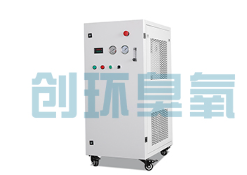 攀枝花石斑鱼养殖水质调控完整指南：臭氧发生器配置与操作步骤
