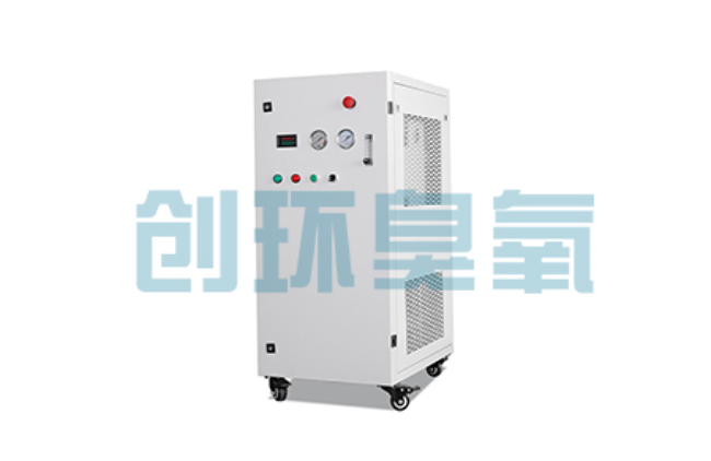 攀枝花比传统换水更高效？臭氧发生器在石斑鱼养殖中的水质净化原理解析